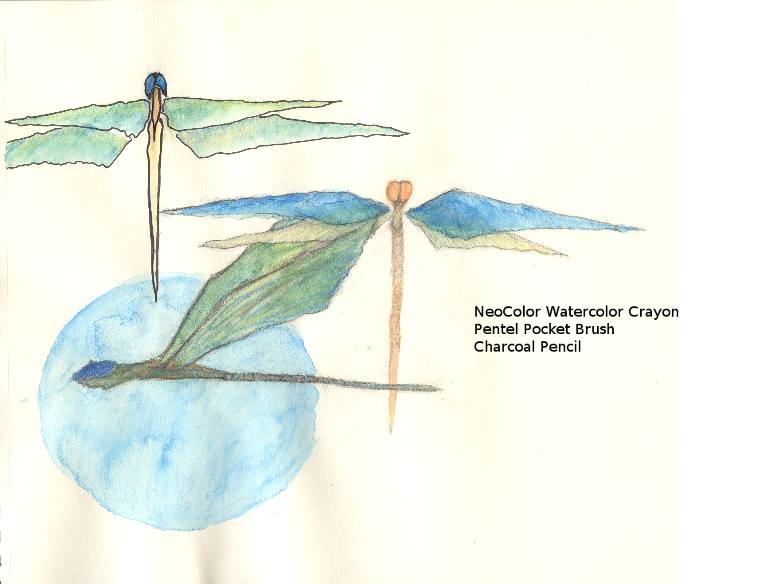 dragonflies